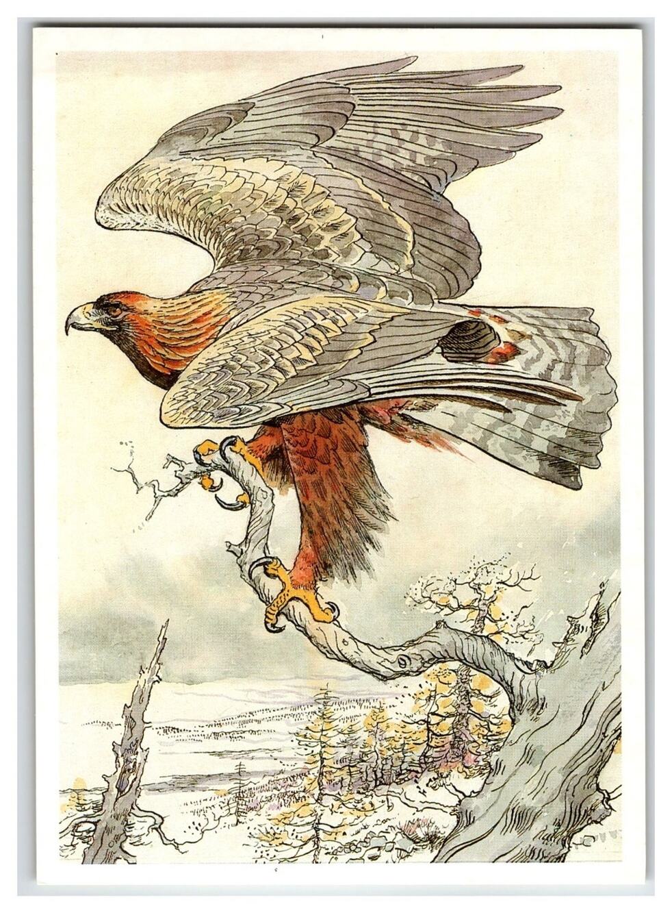 Vintage Russian Art Postcard Golden Eagle Aquila Chrysaetos Bird of Prey